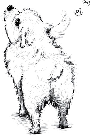 フッター用の犬のイラスト