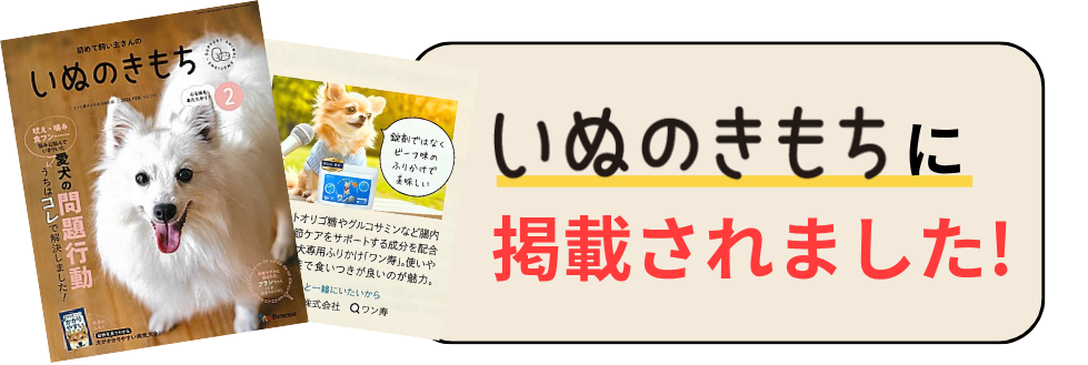 いぬのきもちに掲載されました