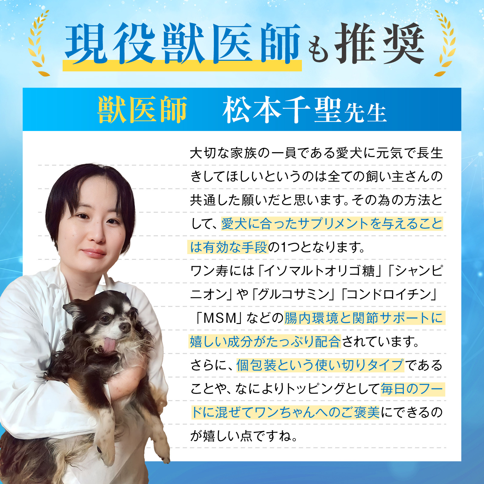 獣医師 松本千聖先生