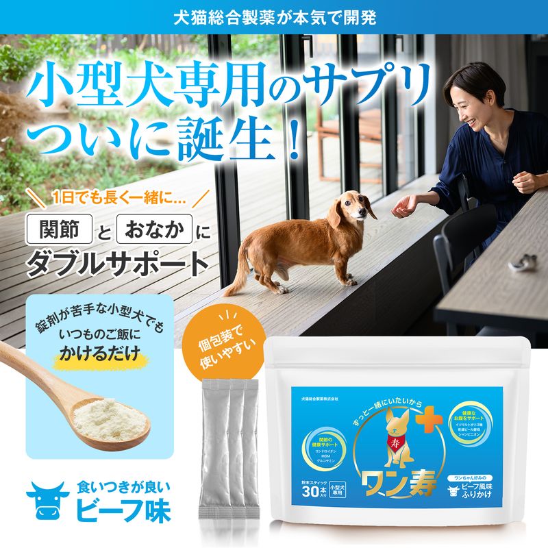 商品紹介