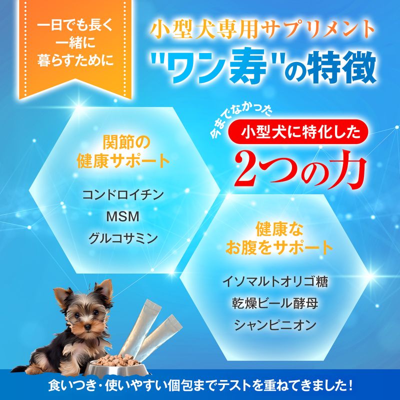 2つの力